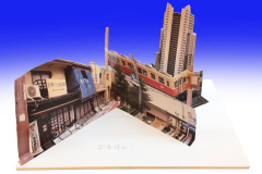 s_IMG_2609b